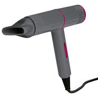 Haartrockner, 800W Vitalmaxx  - Pink/Grau, Basics, Kunststoff (20/5/22cm)