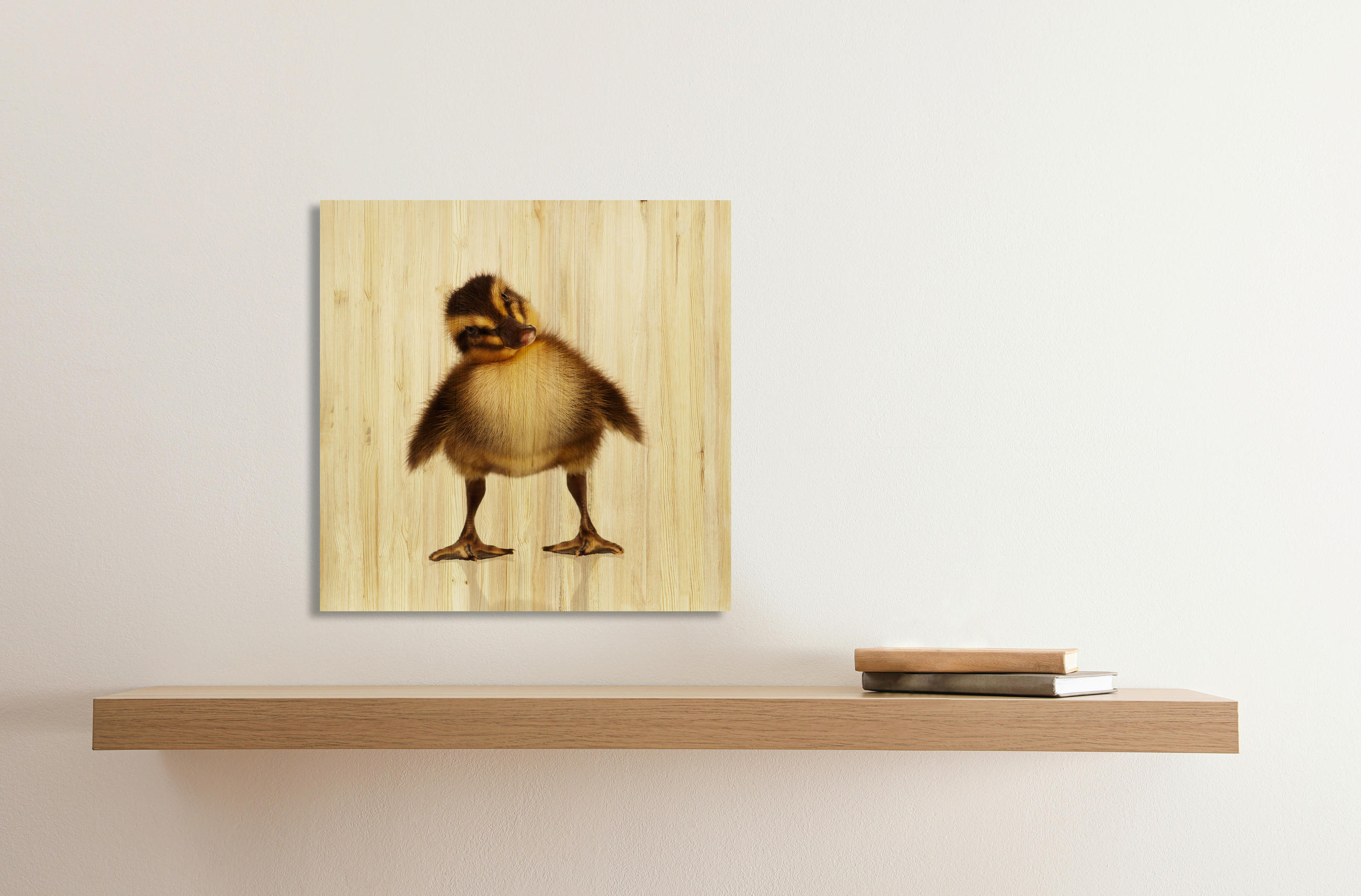 BABYWANDDEKO - Multicolor, Basics, Holz (40/40/3cm)