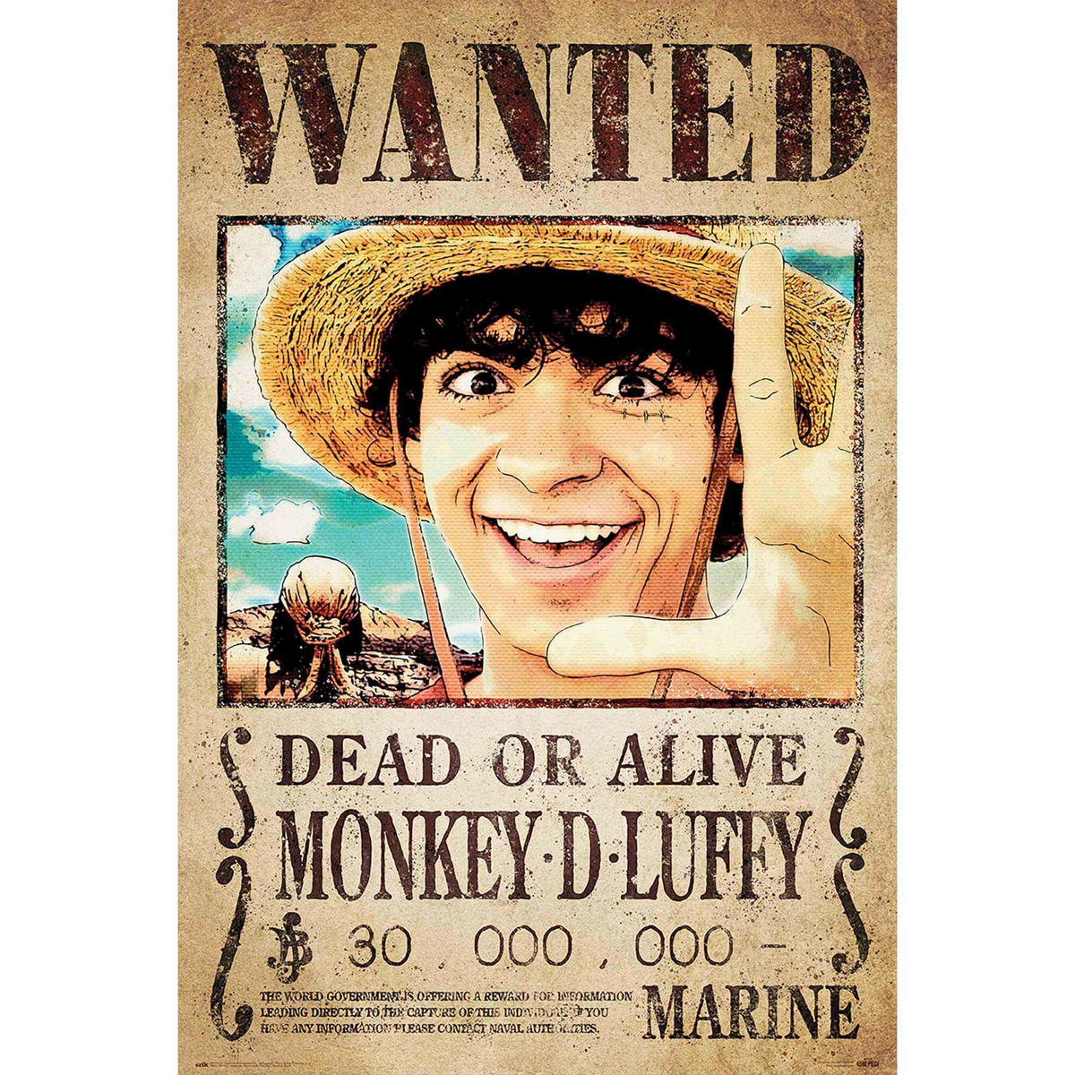 POSTER 61/91,5 cm  - Multicolor, LIFESTYLE, Papier (61/91,5cm) - Reinders!