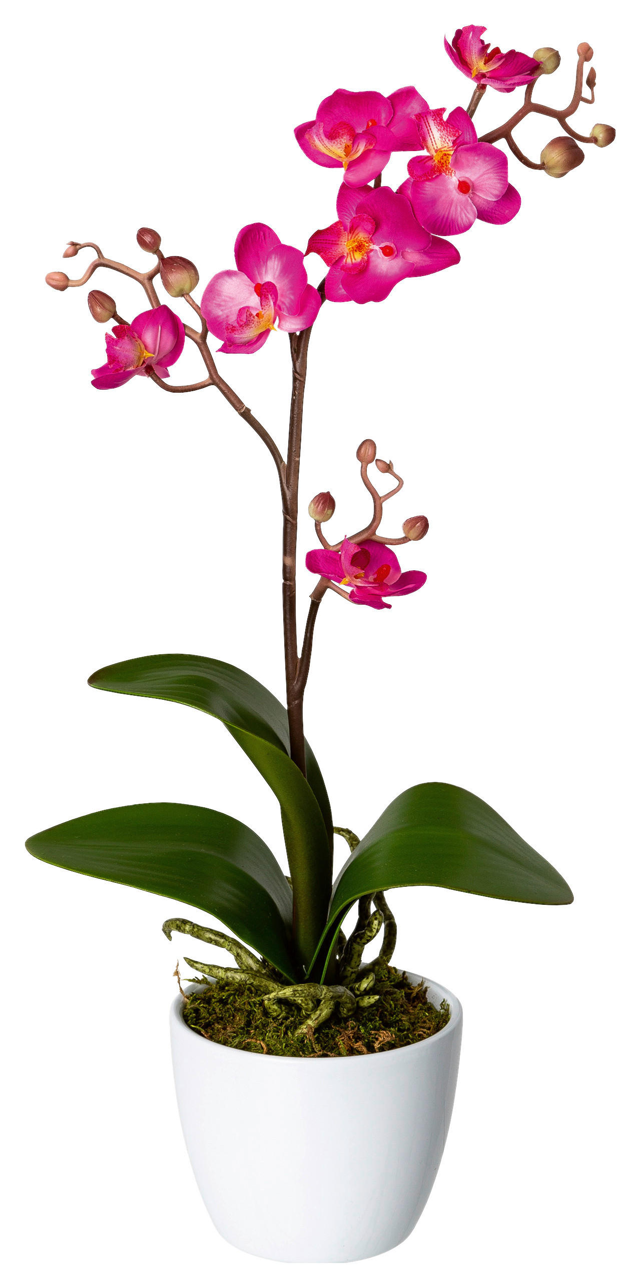 KUNSTPFLANZE Orchidee 55 cm  - Rosa/Weiß, Design, Keramik/Kunststoff (55cm) - P & B