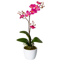 KUNSTPFLANZE Orchidee 55 cm  - Rosa/Weiß, Design, Keramik/Kunststoff (55cm) - P & B