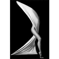 BILD 90/135 cm  - Schwarz, Design, Holz/Kunststoff (90/135cm)