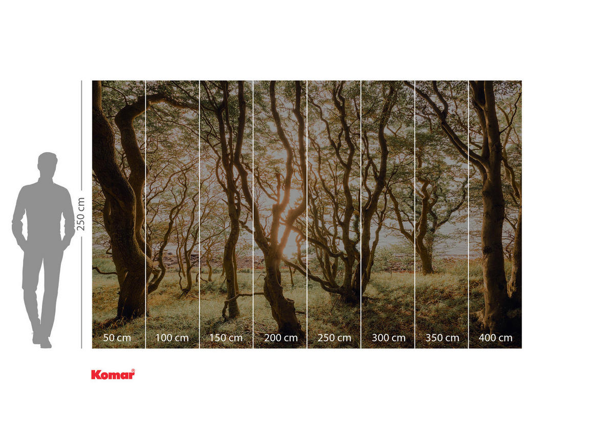 NON WOVEN-TAPET 400/250 cm  - multicolor, Basics (400/250cm) - Komar