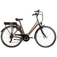 ELEKTROFAHRRAD - Cappuccino, Basics, Metall (21/116/188cm) - Atrigo