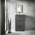 SCHUHKIPPER - Anthrazit/Schwarz, Design, Holzwerkstoff/Kunststoff (59/103/17cm) - Carryhome