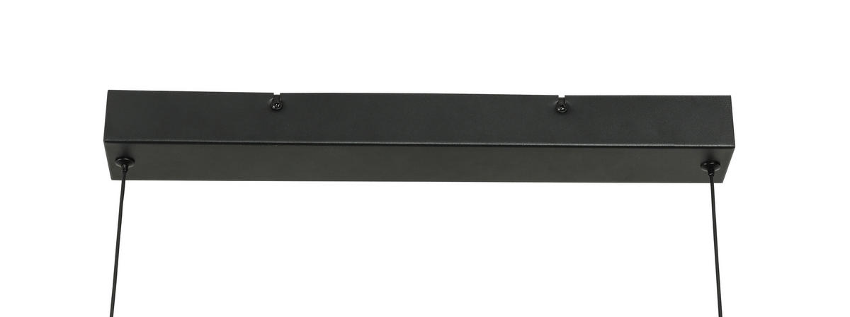 ZÁVESNÉ LED SVIETIDLO, 123/21/250 cm  - čierna, Design, kov/plast (123/21/250cm) - Novel