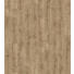 LAMINATBODEN Eichefarben, Hellbraun per m² - Hellbraun/Eichefarben, KONVENTIONELL, Holzwerkstoff (128,5/24,3/0,8cm) - Parador LAMINATBODEN Eichefarben, Hellbraun per m² - Hellbraun/Eichefarben, KONVENTIONELL, Holzwerkstoff (128,5/24,3/0,8cm) - Parador