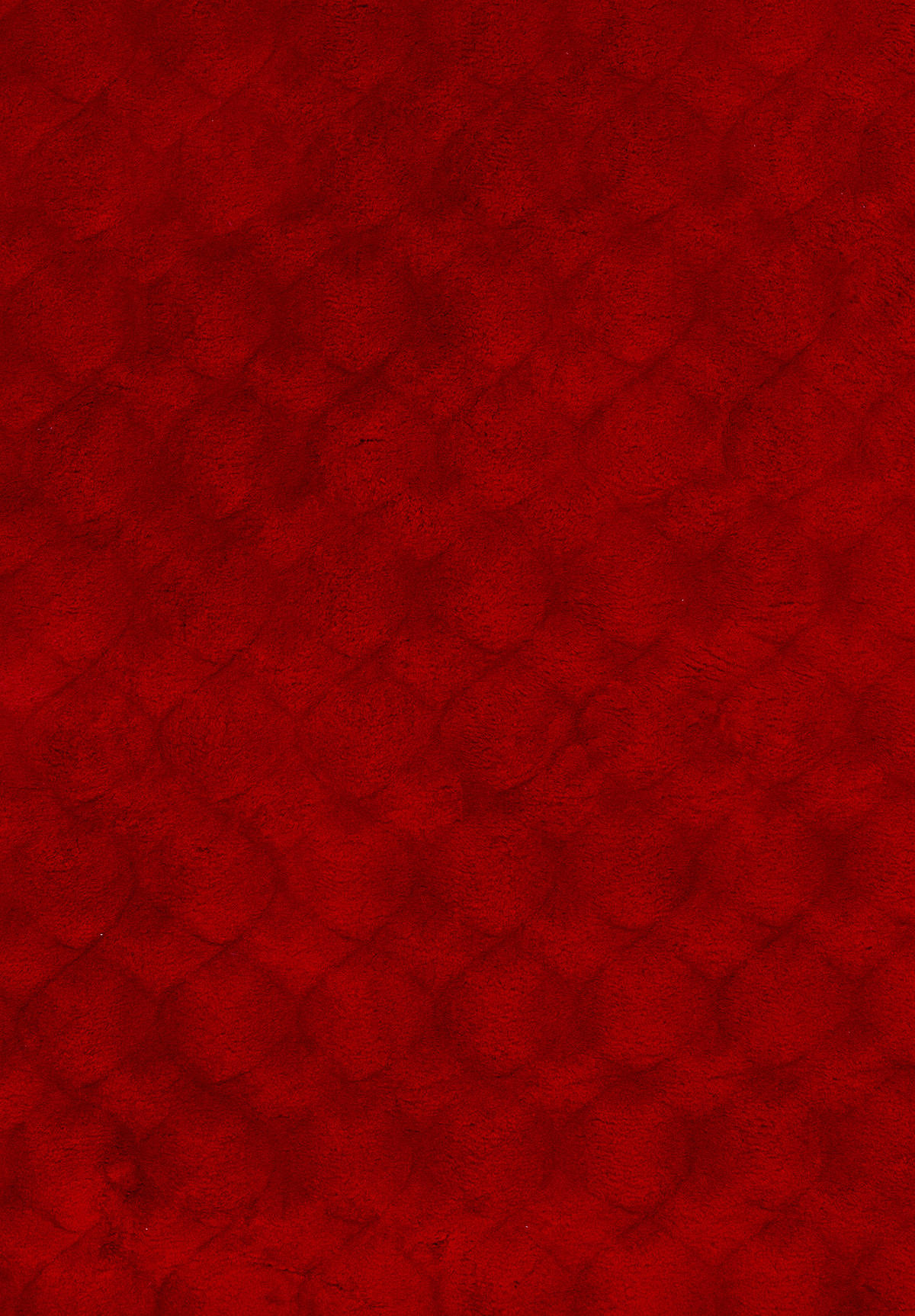HOCHFLORTEPPICH 200/290 cm My Diamond Rot  - Rot, Design, Textil (200/290cm) - Obsession