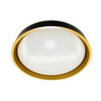 STROPNA LED-SVETILKA  Gabriela /2600 lm/3000-4000-6500 K// - zlate barve/temno siva, Basics, kovina/umetna masa (39/8cm)