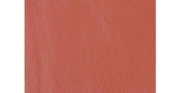 2-SITZER-SOFA  in Echtleder Rot   - Rot/Schwarz, Design, Leder/Metall (180/82/92cm) - Johann Jakob