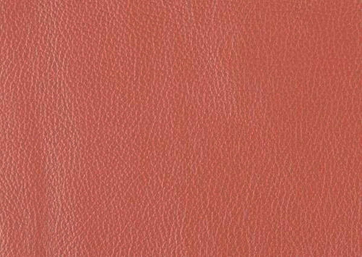 2-SITZER-SOFA  in Echtleder Rot   - Rot/Schwarz, Design, Leder/Metall (180/82/92cm) - Johann Jakob