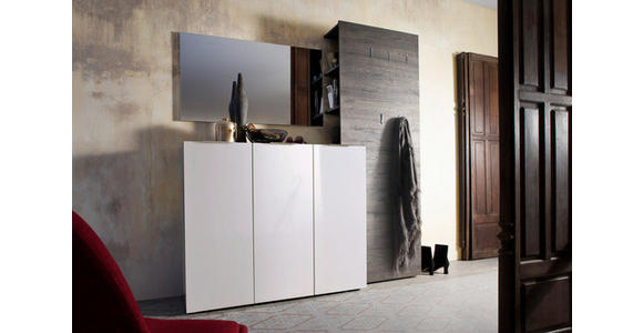 SCHUHSCHRANK in 120/101/39 cm - Edelstahlfarben/Schwarz, Design, Holzwerkstoff/Kunststoff (120/101/39cm) - Carryhome