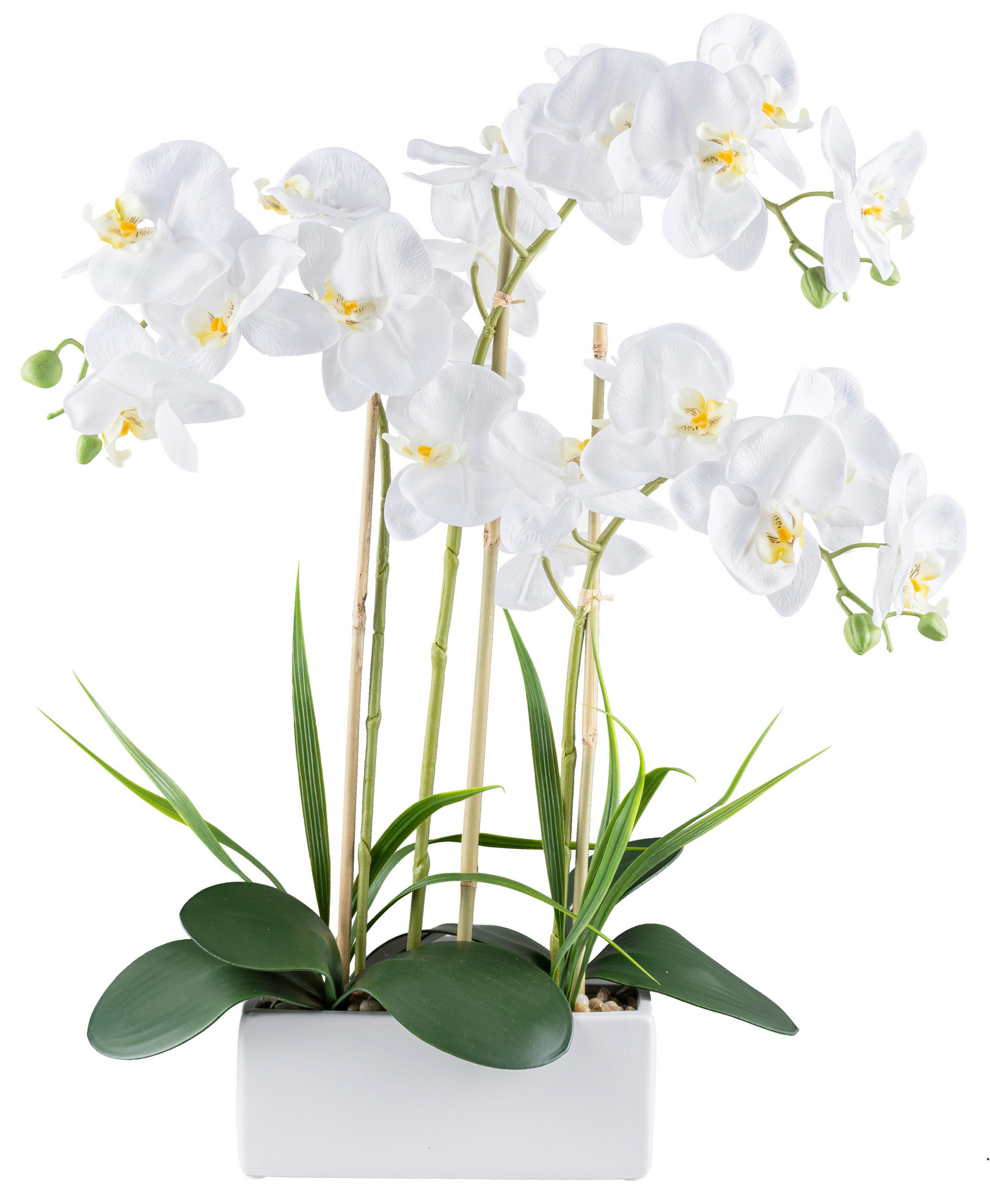 Kunstpflanze Phalaenopsis