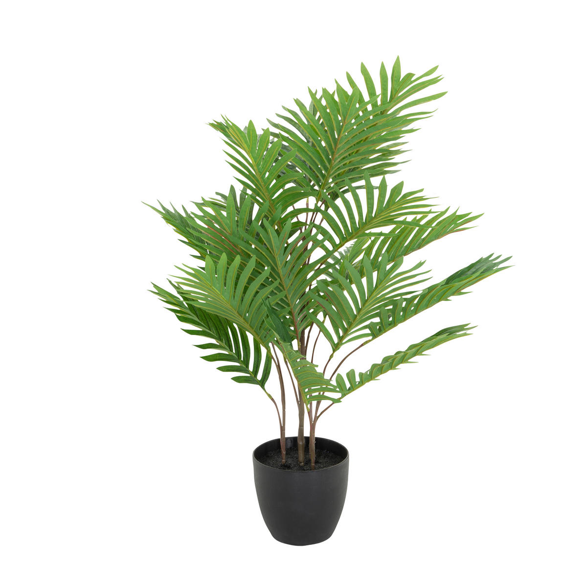 KUNSTPFLANZE Palme  - Schwarz/Braun, Basics, Kunststoff/Textil (60/70/60cm) - MID.YOU