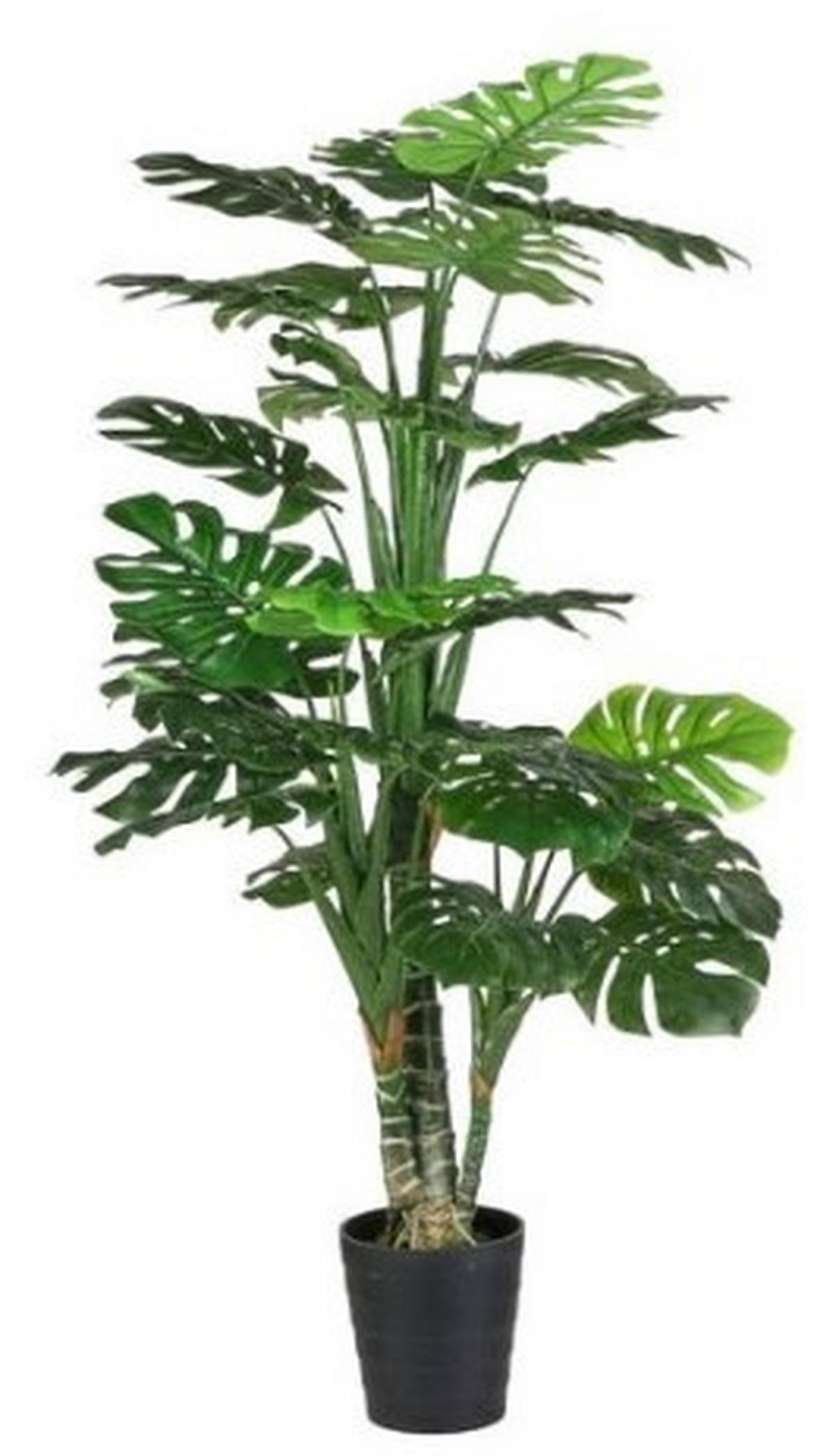 UMĚLÁ ROSTLINA  - zelená, Basics, plast (80/160cm)