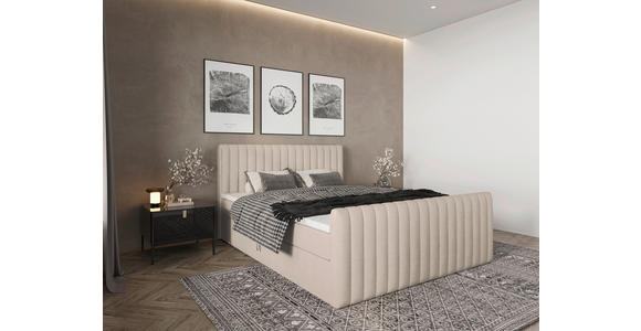 BOXBETT 160/200 cm  in Creme  - Creme/Schwarz, Basics, Kunststoff/Textil (160/200cm) - Carryhome