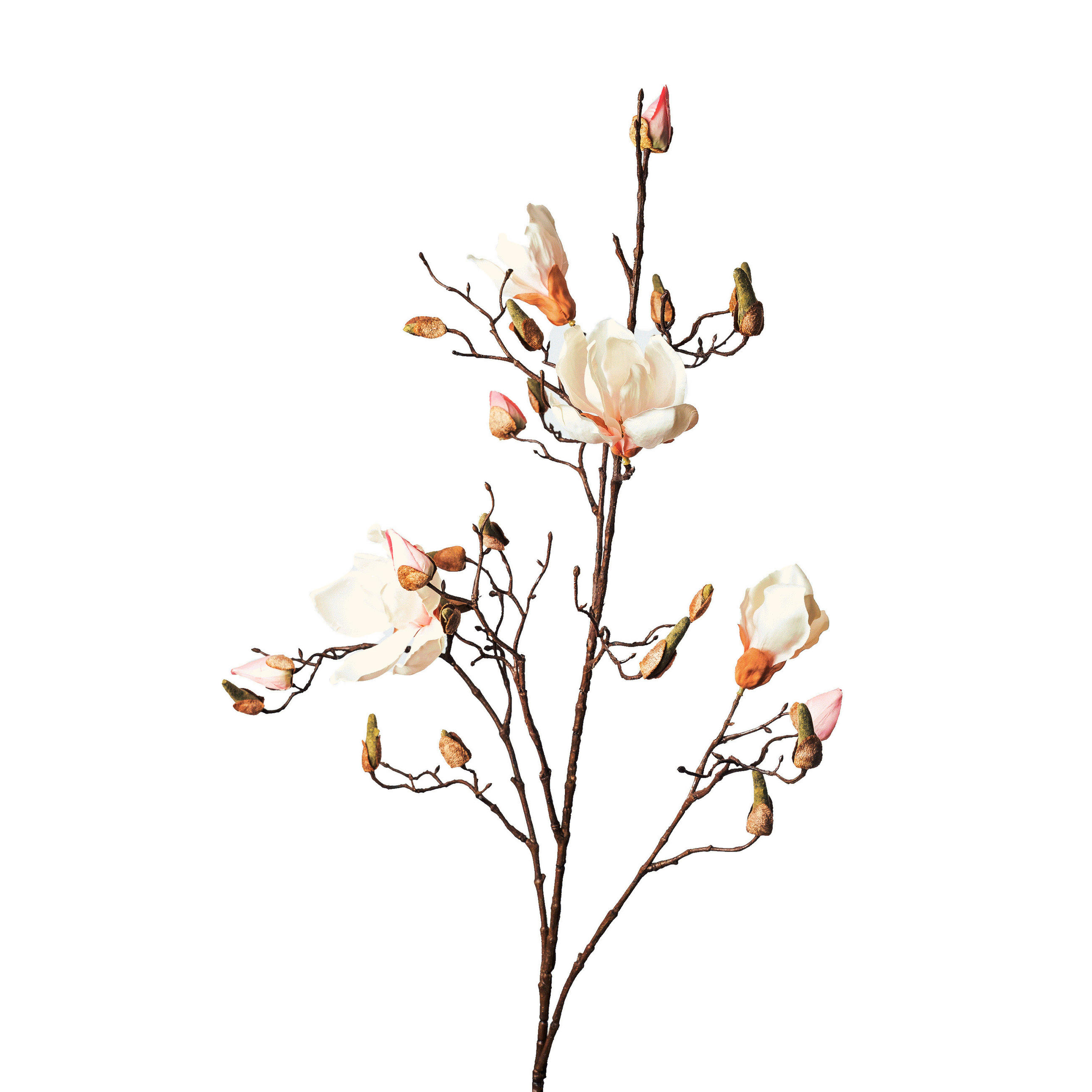 MAGNOLIE  - Hellrosa/Grün, Basics, Kunststoff (110cm)