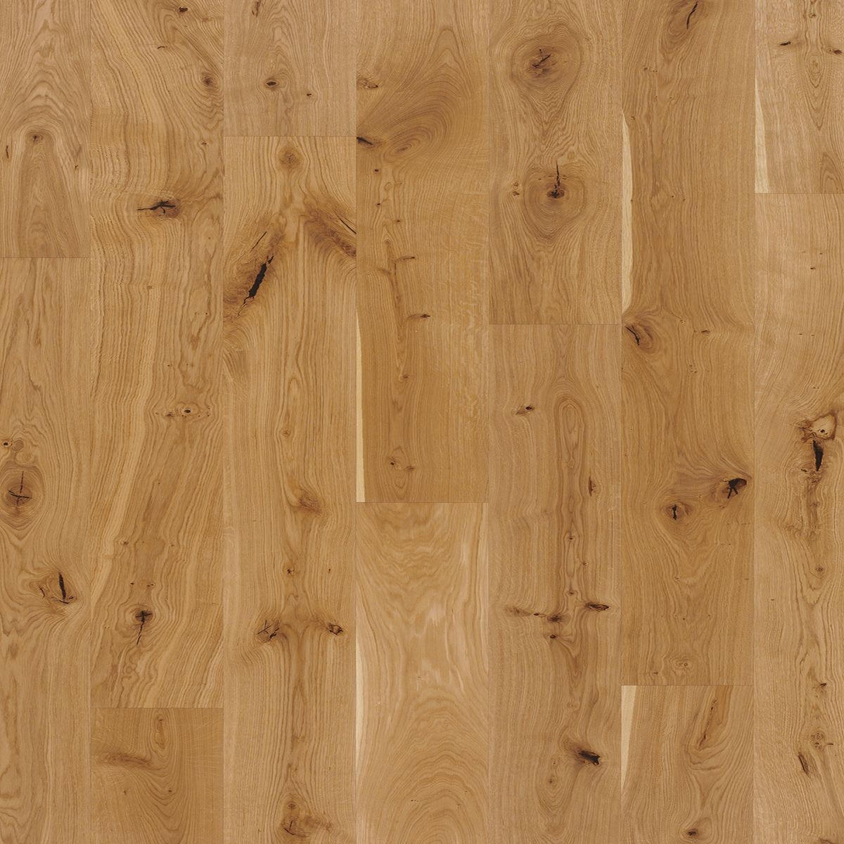 Parkettboden Eiche Hellbraun Geölt Landhausdiele Stärke 11,5mm