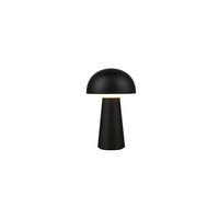 AKKU-TISCHLEUCHTE - Design (13,6/21,5cm)