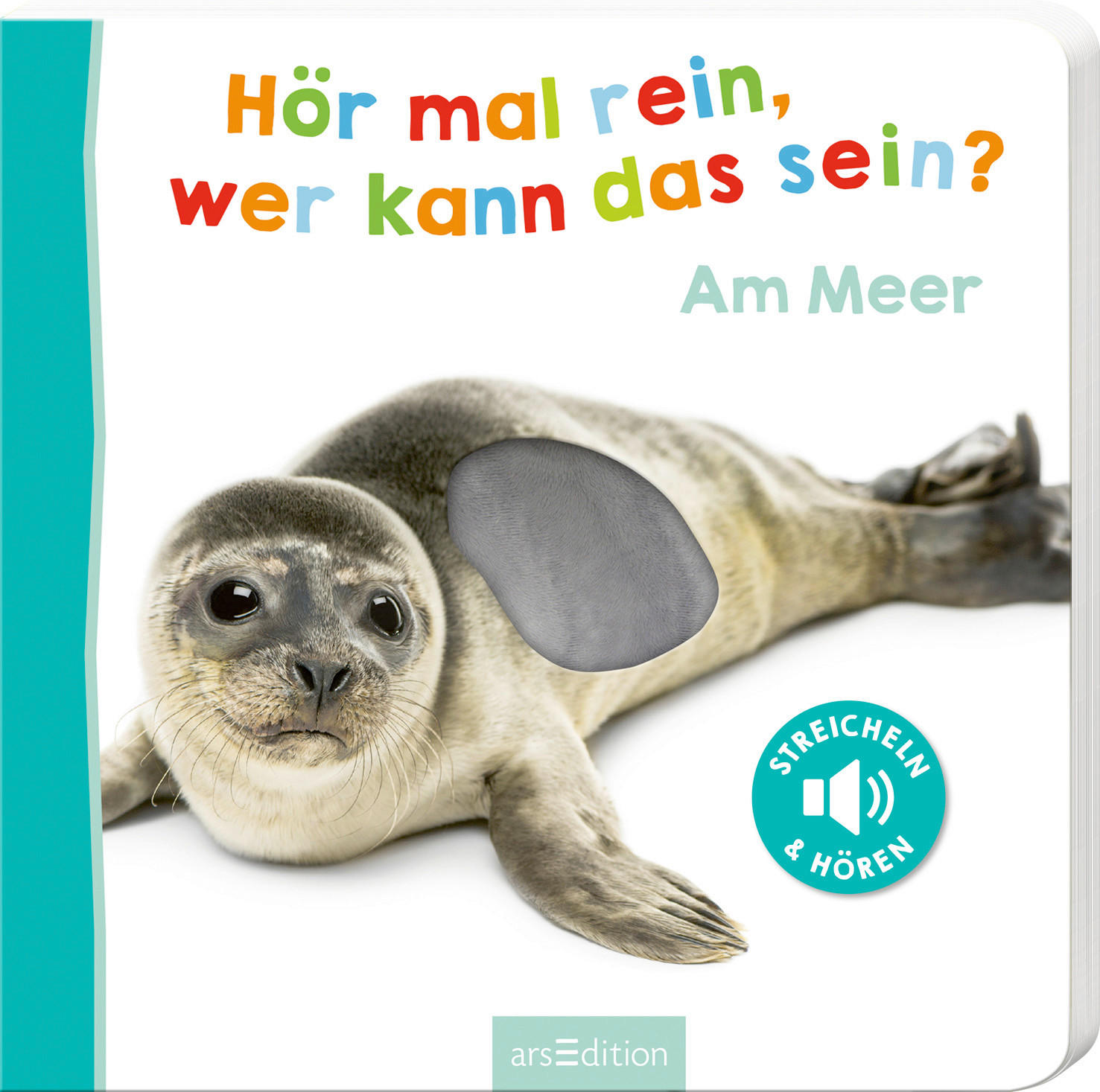 BUCH - Basics (20/20/2cm)