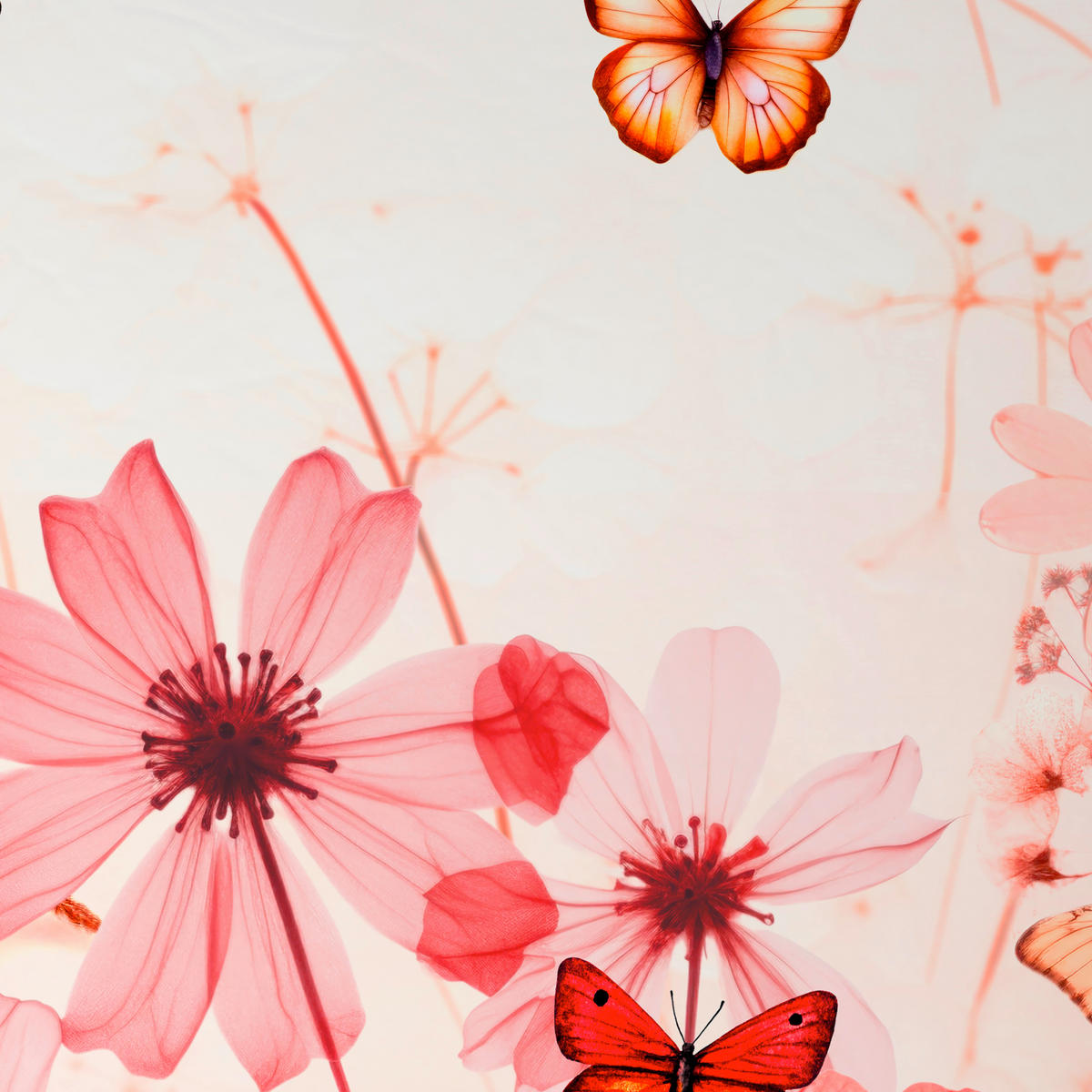 WENDEBETTWÄSCHE Satin 155/220 cm  - Rosa/Weiß, Textil (155/220cm) - Esposa