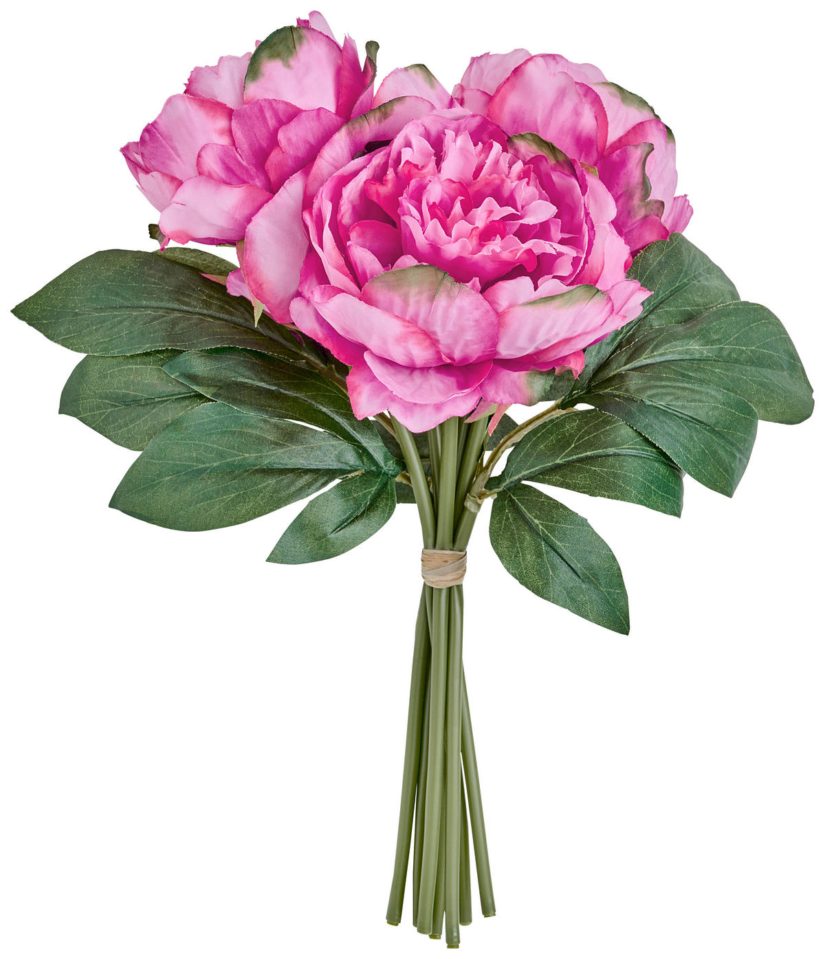 POTONIKA - pink/zelena, Trendi, umetna masa/tekstil (28cm)