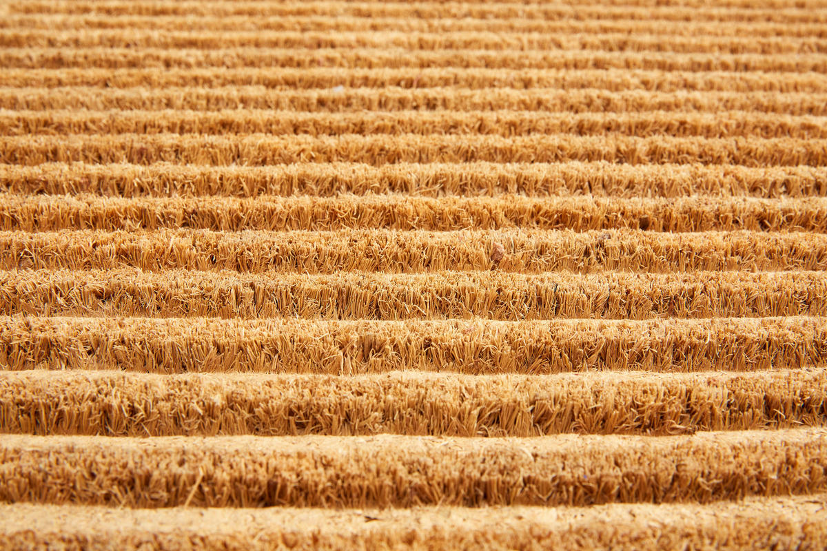 FUßMATTE  45/75 cm  Naturfarben  - Naturfarben, Design, Naturmaterialien/Kunststoff (45/75cm) - Esposa