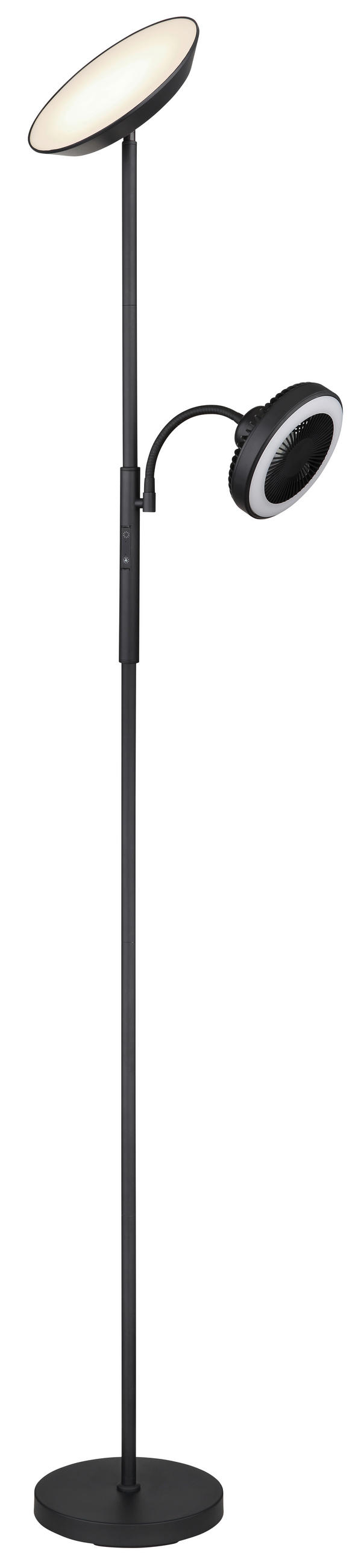 LED-STEHLEUCHTE - Opal/Schwarz, Konventionell, Kunststoff/Metall (33,7/25/178cm) - Globo