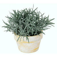 KUNSTPFLANZE  - Dunkelgrün, Basics (15/15cm)