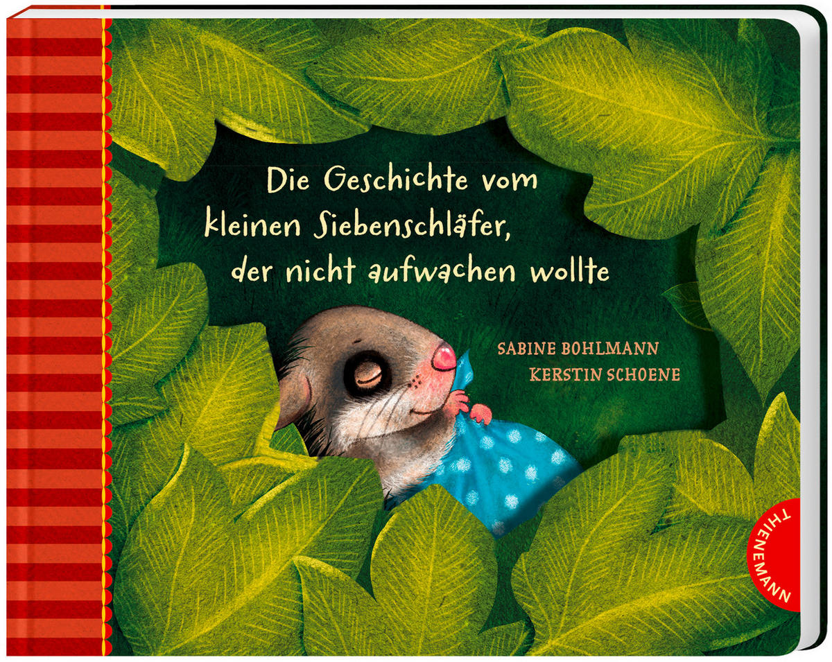 BILDERBUCH - Basics (17/20,7/2,1cm)