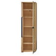 GARDEROBENSCHRANK 60/205/39 cm  - Wildeiche/Schwarz, Basics, Glas/Holz (60/205/39cm) - Linea Natura