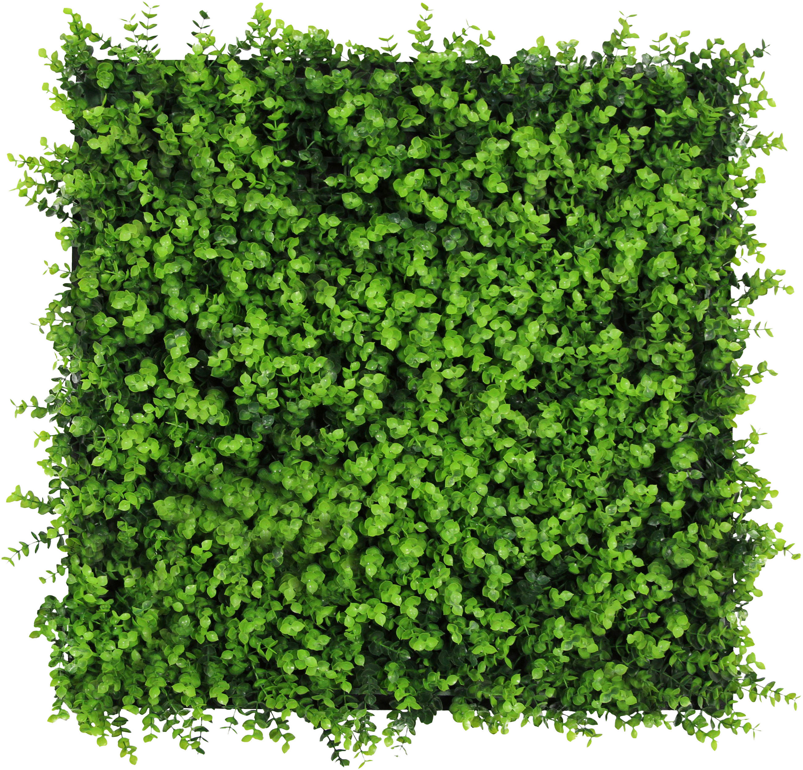 AKUSTIKPANEEL Modular Wall System Design Flora 52/52/4 cm  - Hellgrün, KONVENTIONELL, Kunststoff (52/52/4cm) - Jangal