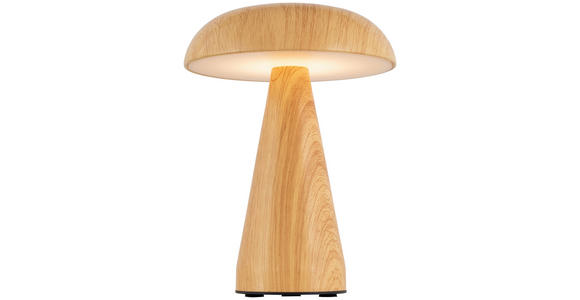 TISCHLEUCHTE - Naturfarben, Trend, Kunststoff/Metall (15,5/21cm) - Novel