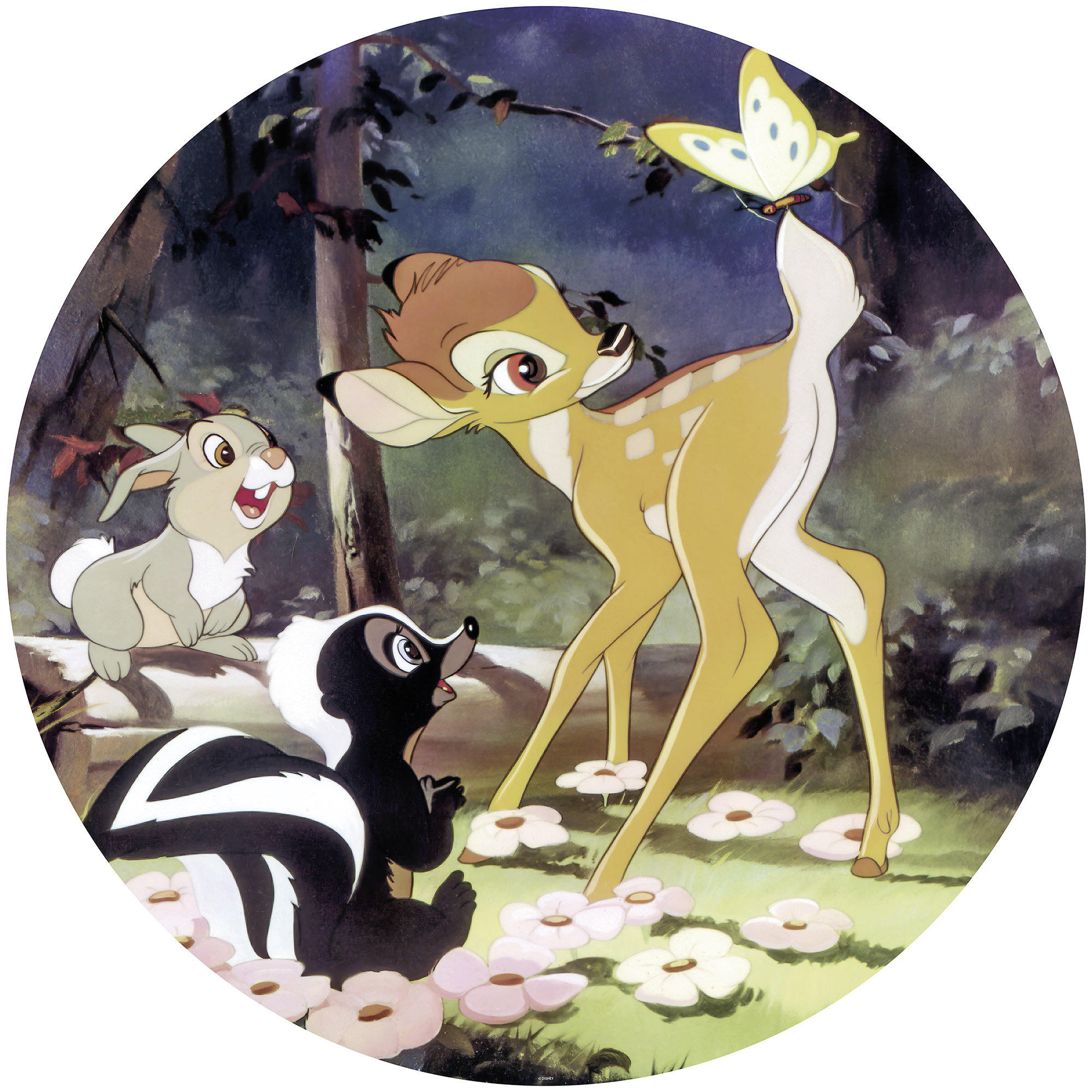 Xora Fototapete Bambi Mehrfarbig
