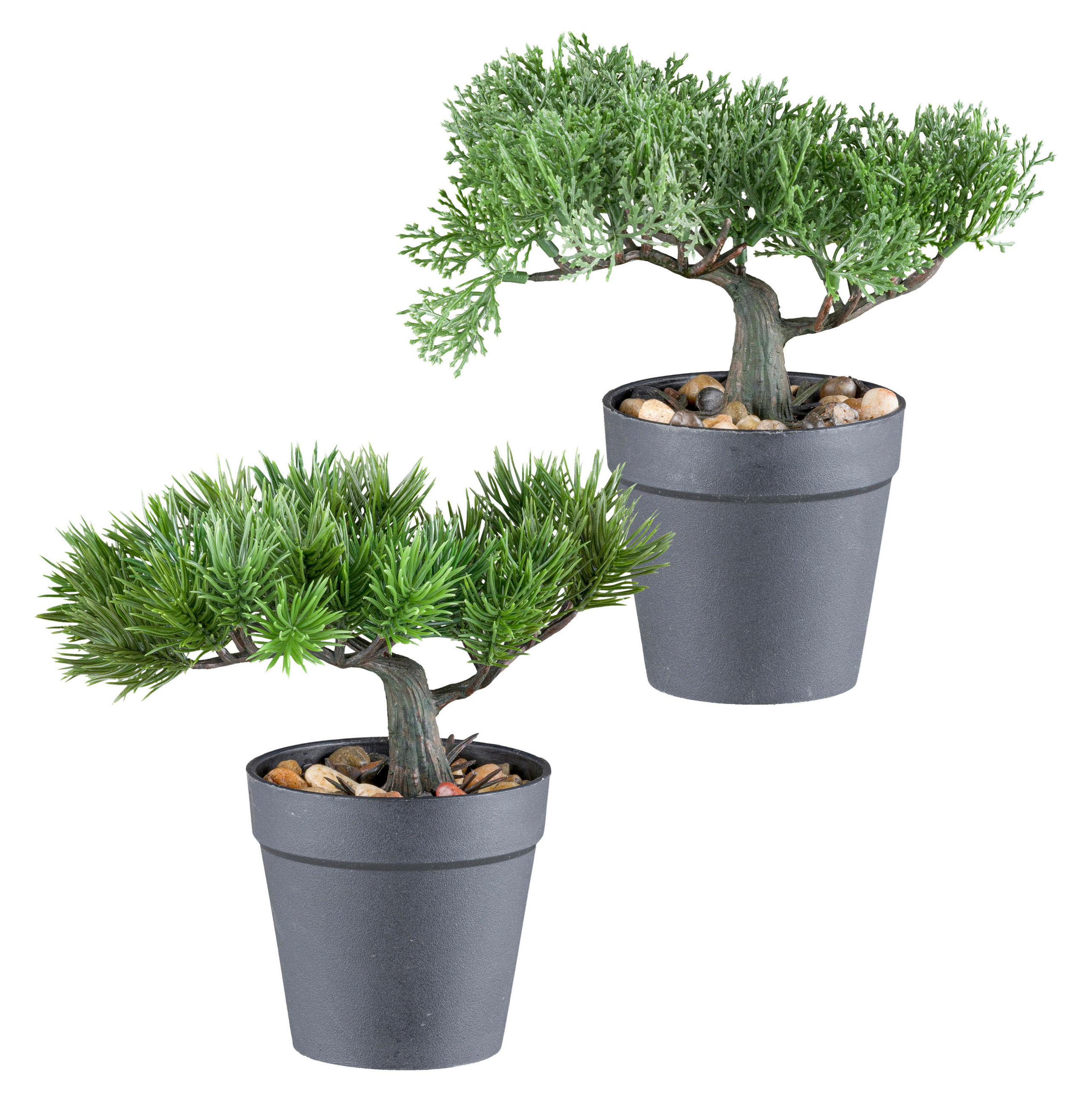 KUNSTPFLANZE Bonsai 18 cm  - Schwarz/Braun, Design, Kunststoff (18cm) - P & B