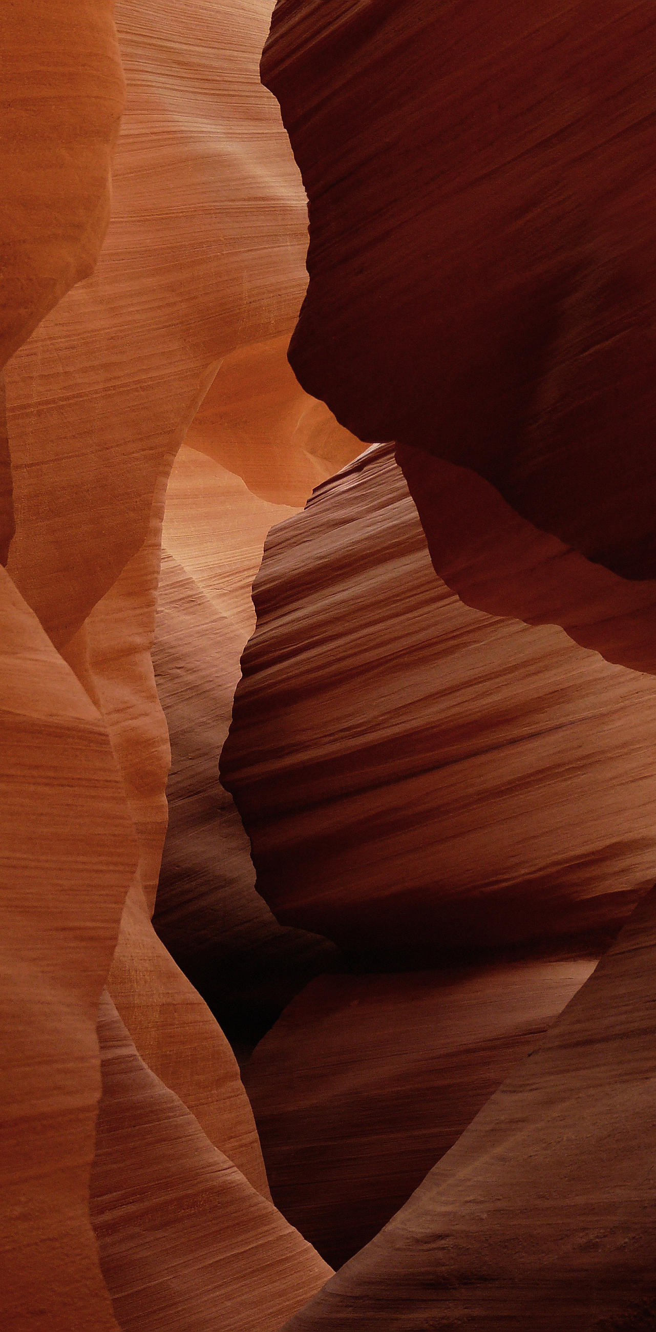 BILD 48/98 cm  - Rotbraun, Design, Metall (48/98cm) - Wandkraft