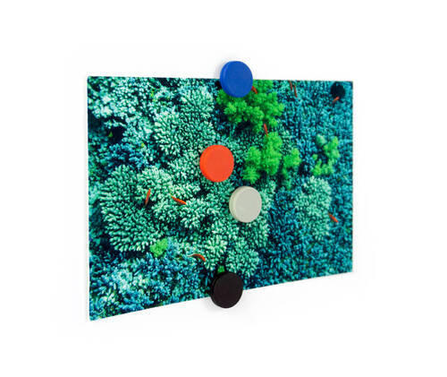 MAGNETSET  - Multicolor, Basics, Kunststoff (1,7/0.5cm)
