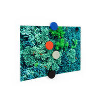 MAGNETSET  - Multicolor, Basics, Kunststoff (1,7/0.5cm)