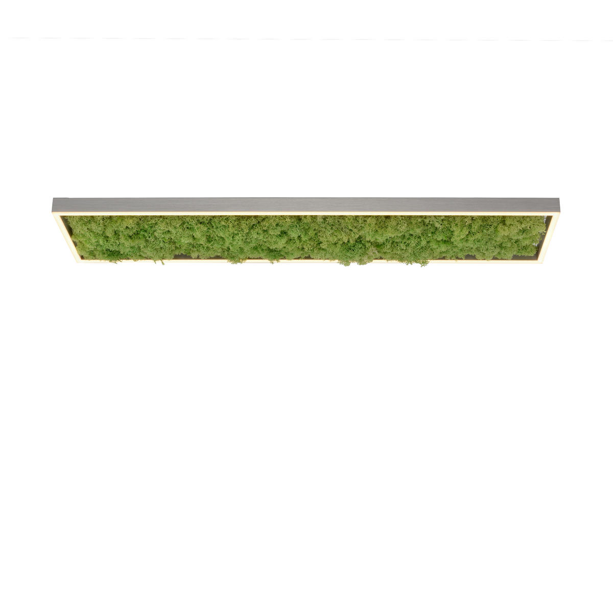 LED-DECKENLEUCHTE Green Knut 100/25/5,6 cm   - Natur, Naturmaterialien/Kunststoff (100/25/5,6cm)