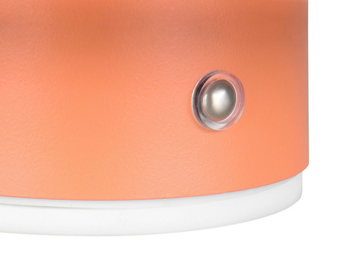 LED-WANDLEUCHTE - Aprikose, Design, Metall (15,5/8,4cm)
