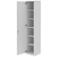 AKTENSCHRANK Weiß  - Weiß, KONVENTIONELL, Holzwerkstoff (40/217,4/43cm) - Moderano