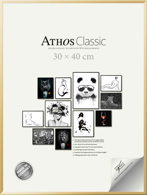 BILDERRAHMEN - Goldfarben, Basics, Papier/Holzwerkstoff (30/40/1,8cm)