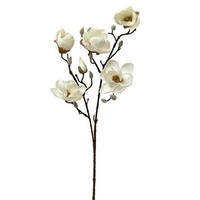 MAGNOLIE - Perlmutt, Basics (80cm)