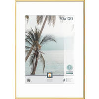 RÁM NA OBRAZY, 1 foto 70 cm x 100 cm - barvy zlata, Basics, plast/sklo (101/71cm)