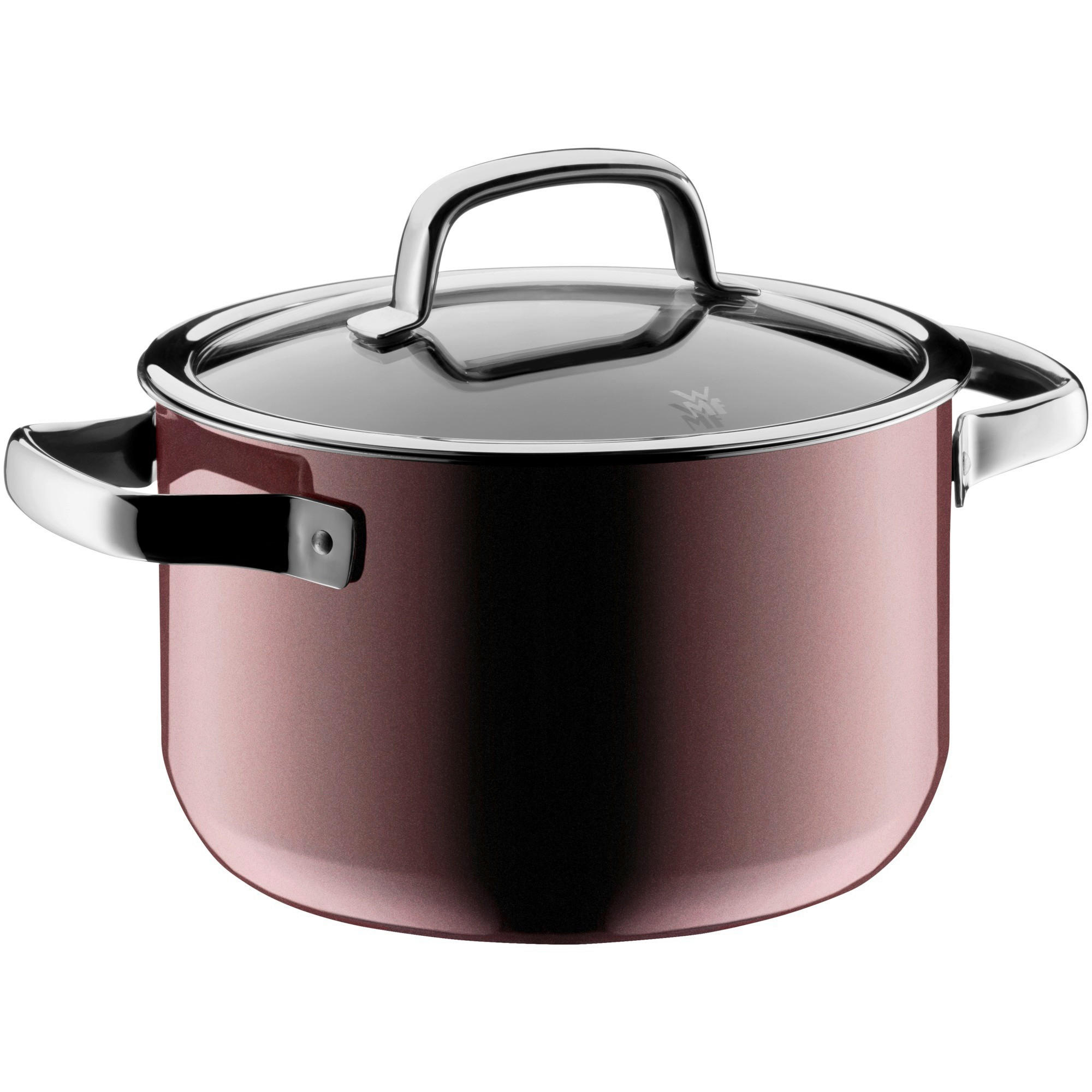 ŠERPA ZA MESO 6,4 l - crvena, Osnovno, staklo/metal (24/22cm) - WMF