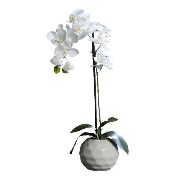 ORHIDEJA - krem, Konvencionalno, tekstil/plastika (46cm)