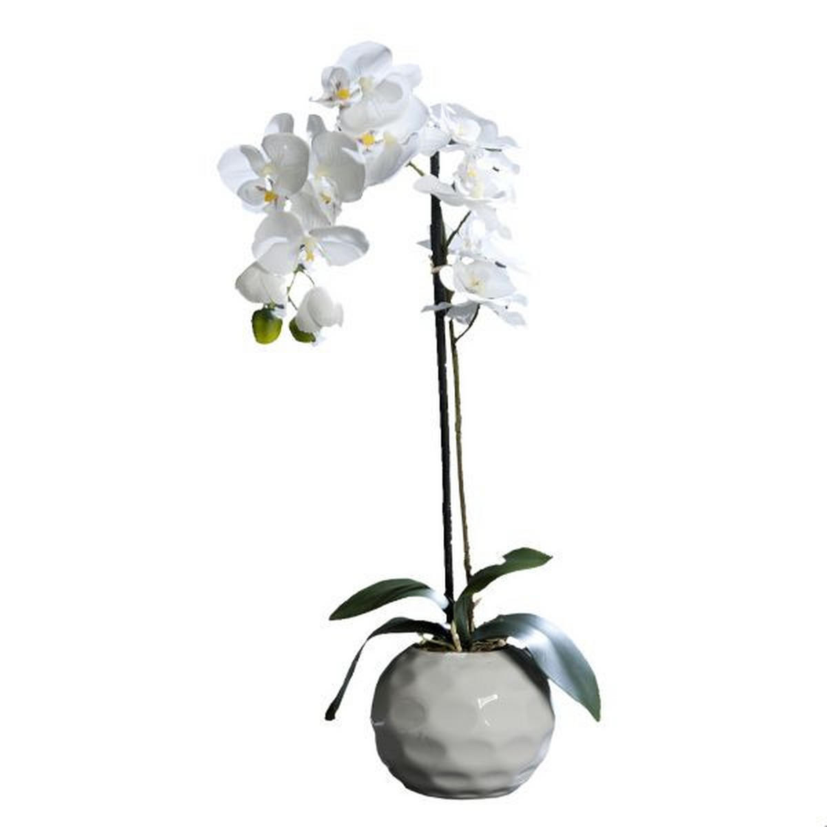 ORHIDEJA - krem, Konvencionalno, tekstil/plastika (46cm)