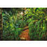FOTOTAPETE - Basics, Papier (368/254cm) FOTOTAPETE - Basics, Papier (368/254cm)