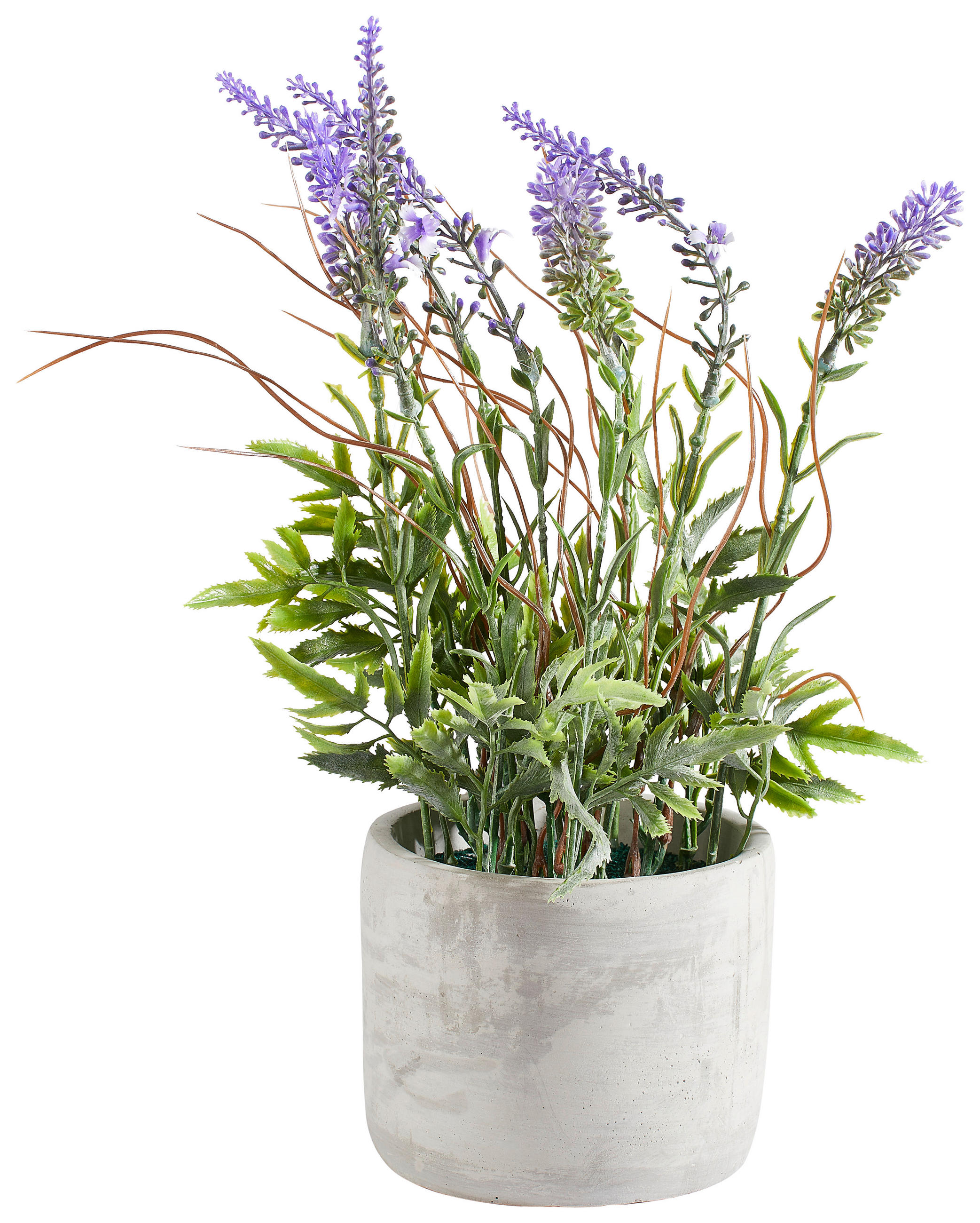 LAVENDEL  - Lila/Grün, Basics, Kunststoff (32cm)