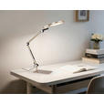 LED-SCHREIBTISCHLEUCHTE 98/20/22,5 cm  - Champagner/Schwarz, Design, Kunststoff/Metall (98/20/22,5cm) - Novel